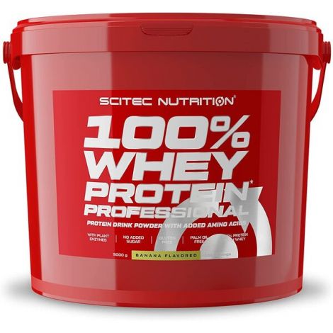 100% Whey Protein Professional, Chocolate  - 5000g