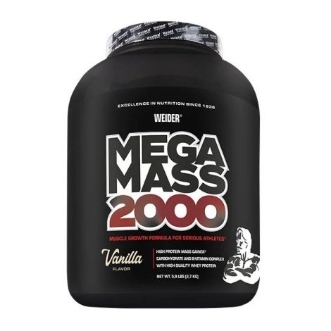 Mega Mass 2000