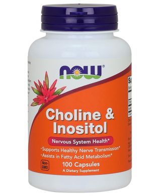 Choline and Inositol, 500mg - 100 caps